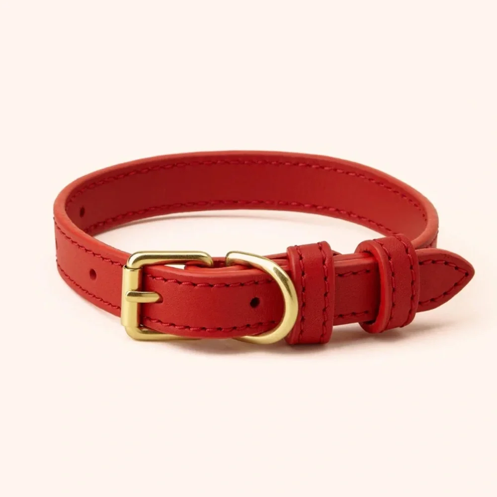 Collar and leash set from Genuine Canine